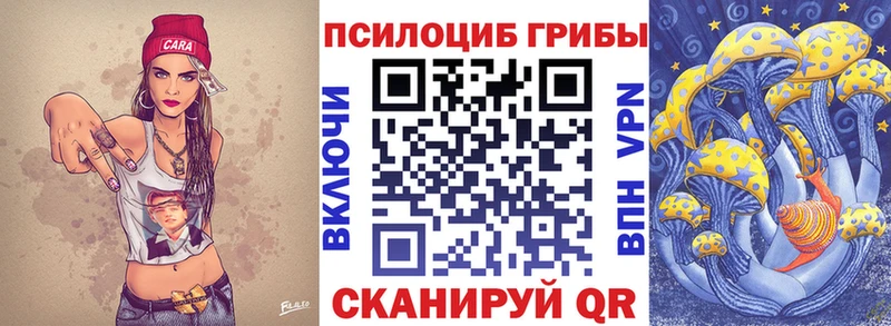 закладка  Хотьково  Псилоцибиновые грибы ЛСД 